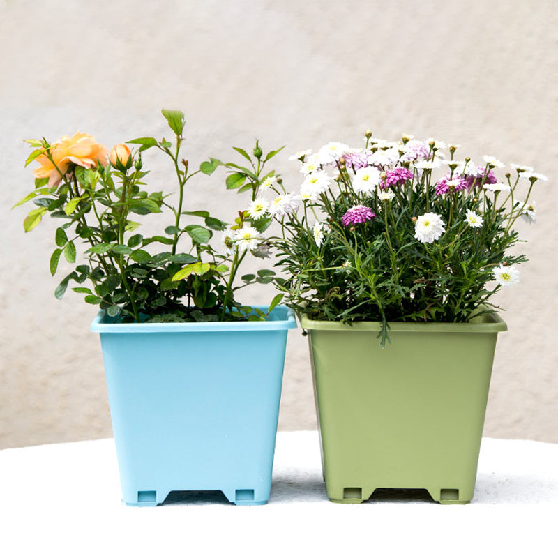 Green Square Plant Pot Outdoor Garden Planter Flowers Vegetables Herbs