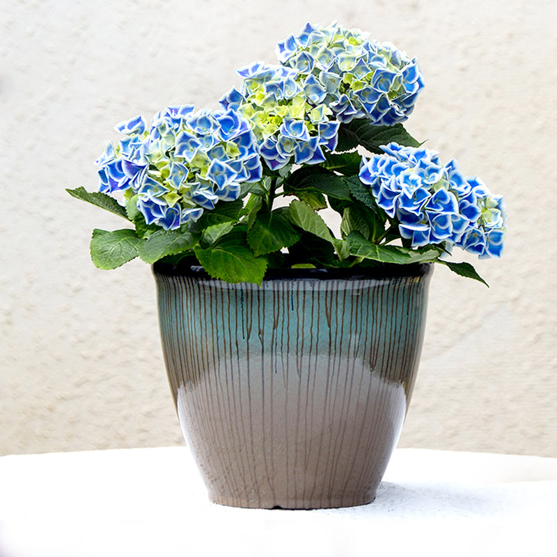 Blue Brown Imitation Ceramic Plant Pot PP Planter Outdoor Garden Decor