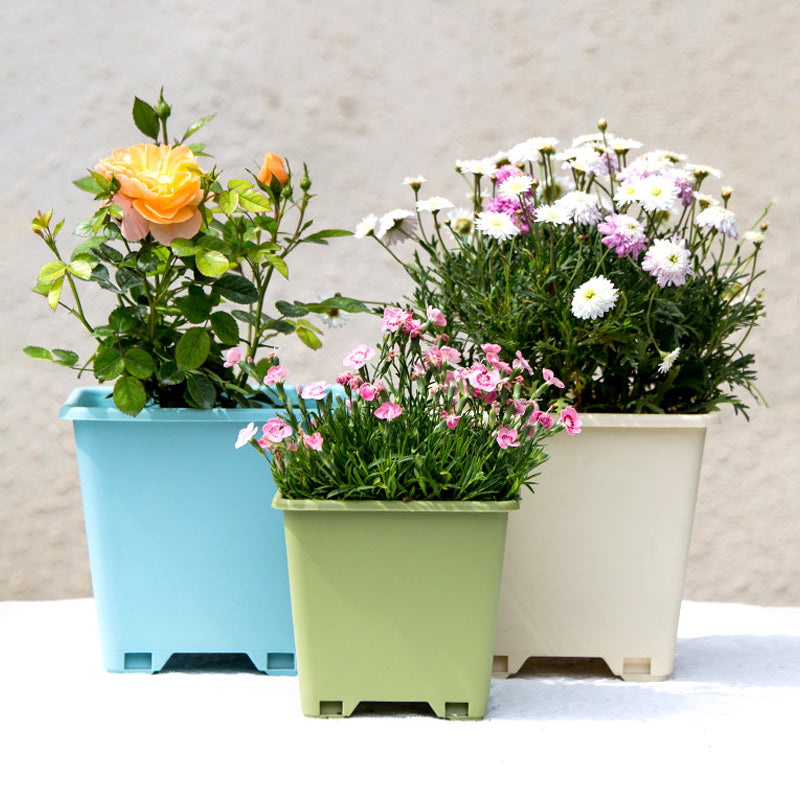 Green Square Plant Pot Outdoor Garden Planter Flowers Vegetables Herbs