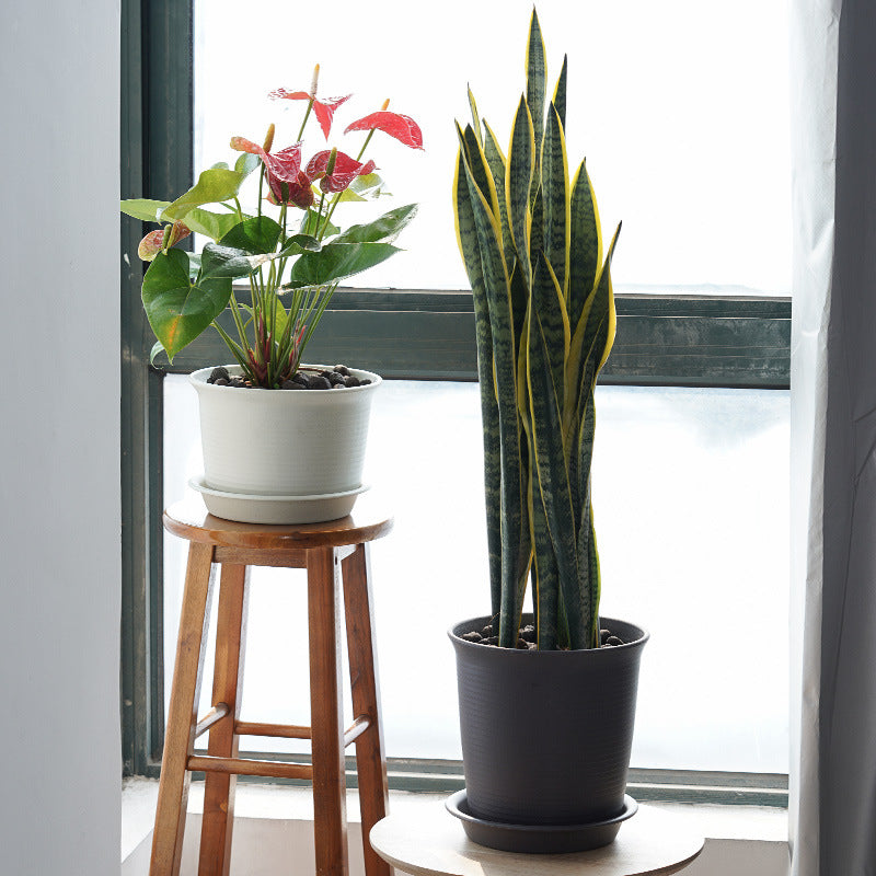 Dark Brown Tall Round Plant Pot Indoor Outdoor Planter Flowers Vegetables Herbs