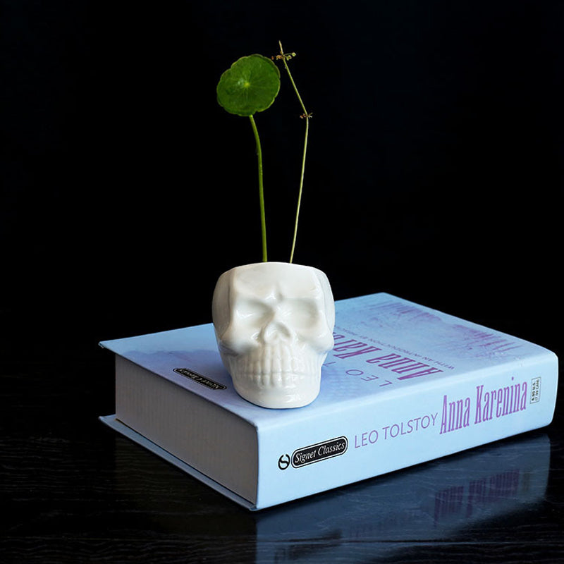 White Skull Plant Pots Without Hole Creative Succulent Planters Home Decor