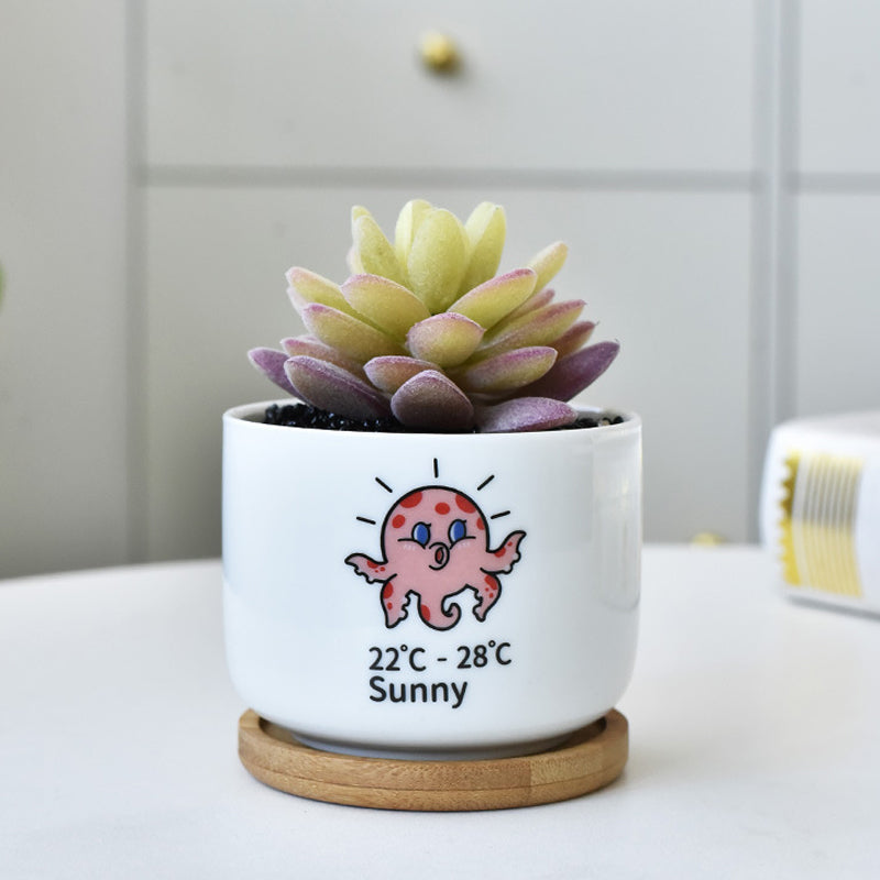 White Octopus Cylinder Plant Pot Indoor Succulent Planter Herb Cactus Aloe