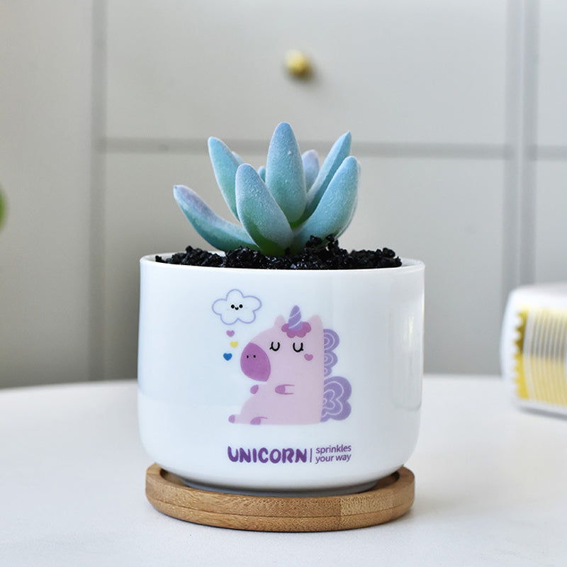 White Unicorn Cylinder Plant Pot Indoor Succulent Planter Herb Cactus Aloe