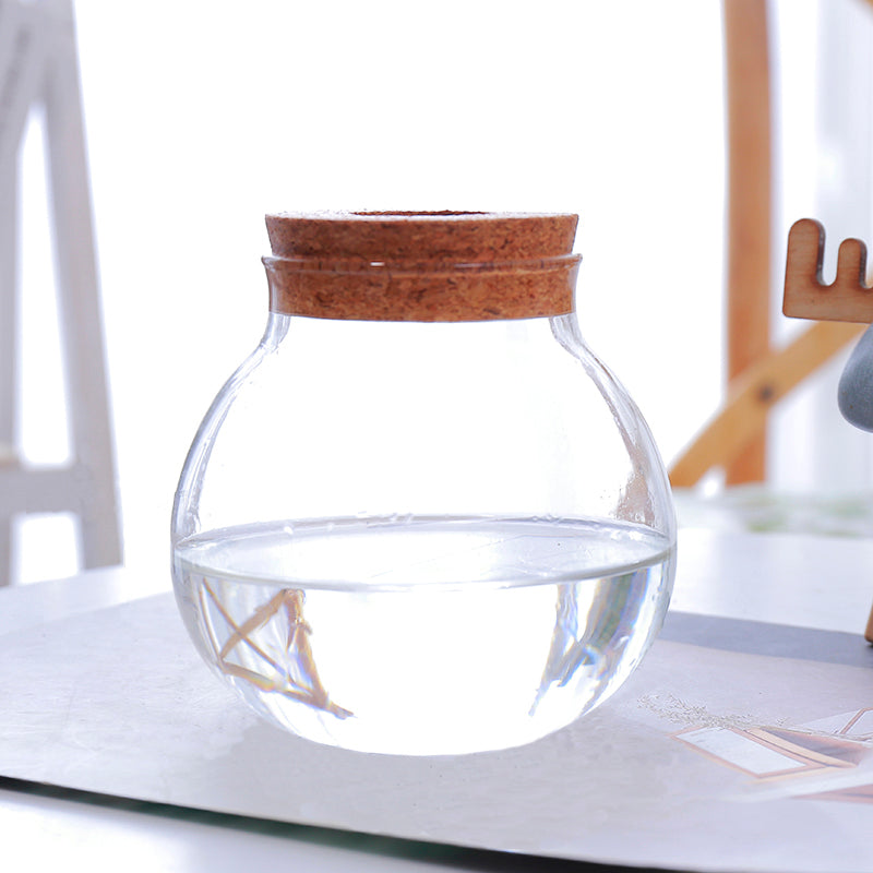 Terrarium Pot Lantern