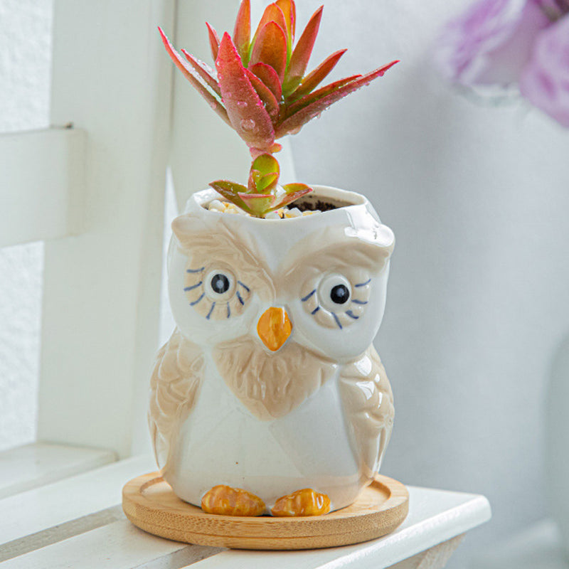 White Owl Glazed Plant Pot Indoor Planter With Tray , Blue Eyeliner