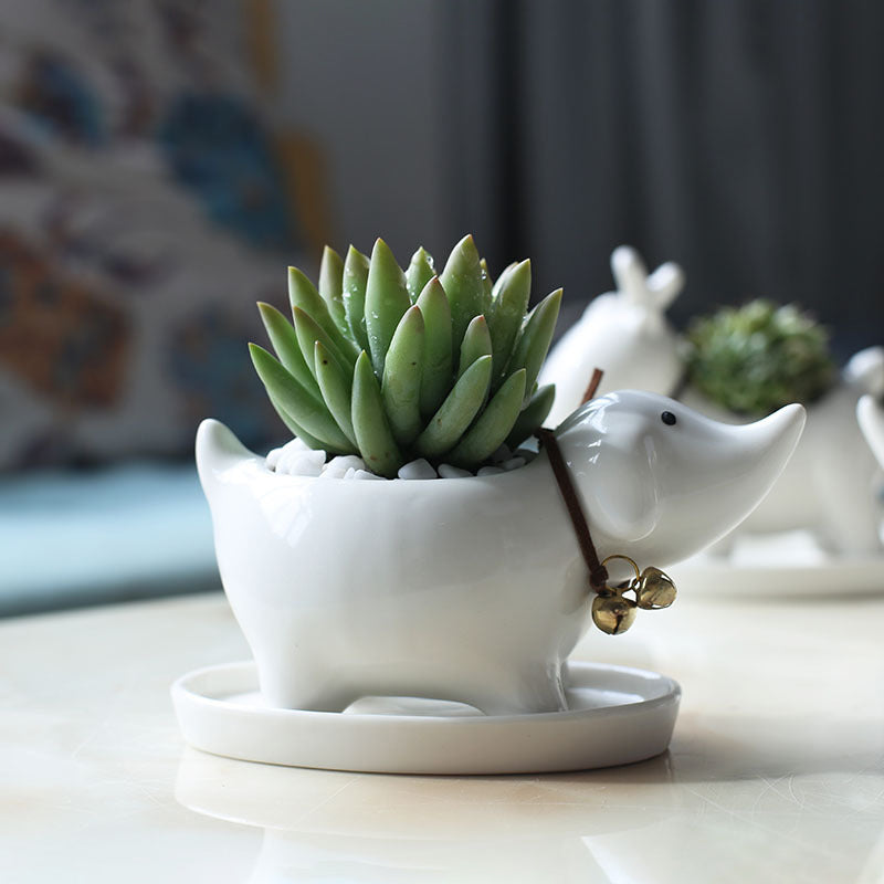 Sharp-Mouthed Dog Plant Pot Lovely Succulent Planter Home Decor