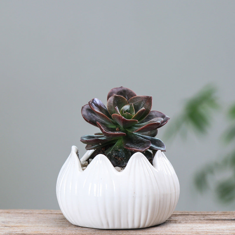 White Lotus Plant Pots Indoor Mini Planters Creative Flowerpots