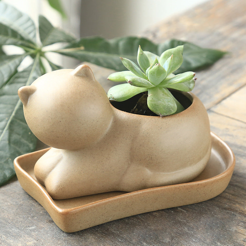 Mini Cute Pet Succulent Plant Pot Breathable Creative Planter , Kitten