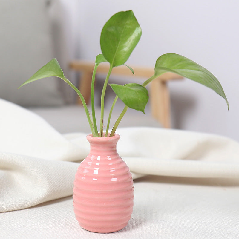 Pink Horizontal Striped Flower Vase Modern Desk Room Decor