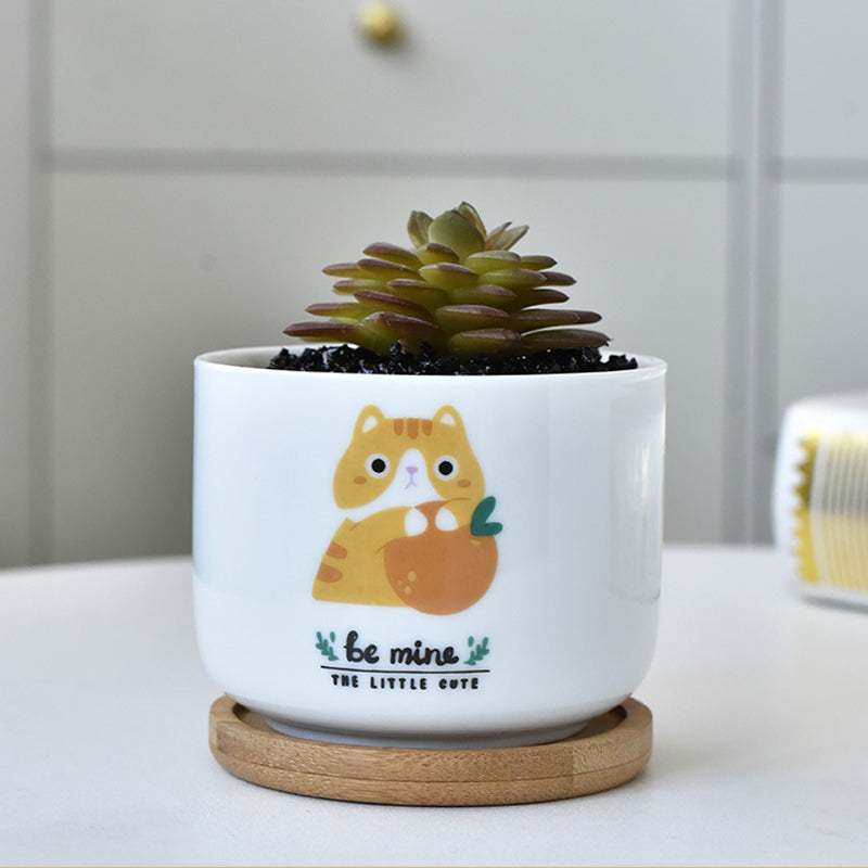 White Kitten Cylinder Plant Pot Indoor Succulent Planter Herb Cactus Aloe