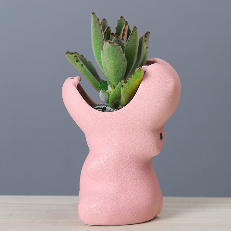 Pink Big Mouth Hippopotamus Plant Pot Mini Indoor Succulent Planter