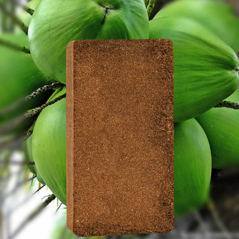 Coco Coir Fibre Compost Brick