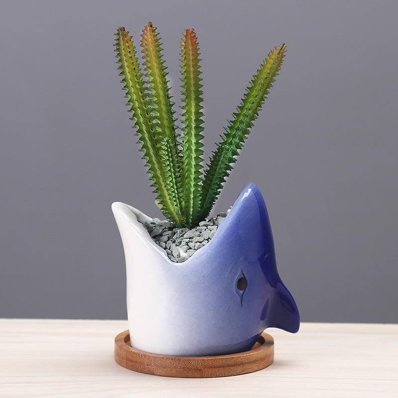 Dark Blue Shark Plant Pot Lovely Succulent Planter Creative Decor