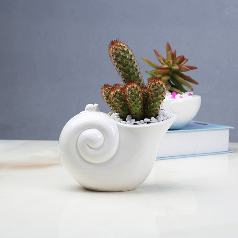 White Snail Plant Pot Indoor Succulent Planter Creative Home Decor