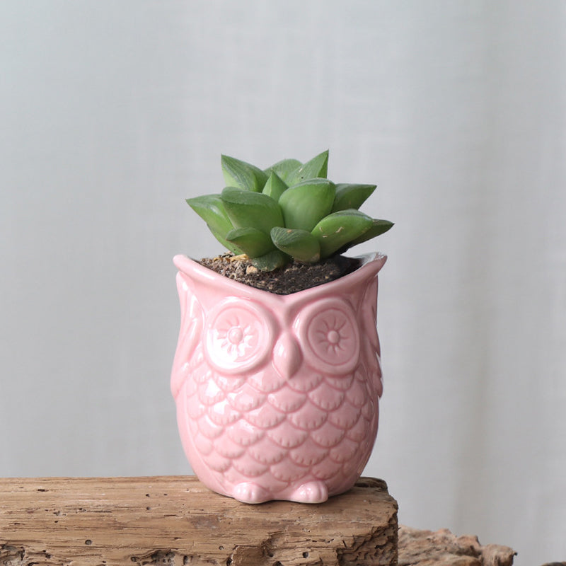 Mini Pink Owl Plant Pot Lovely Indoor Succulent Planter , Model 1