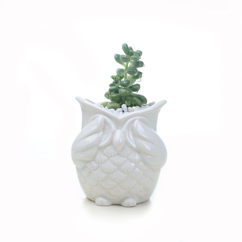 Mini White Owl Plant Pot Lovely Indoor Succulent Planter , Model 2