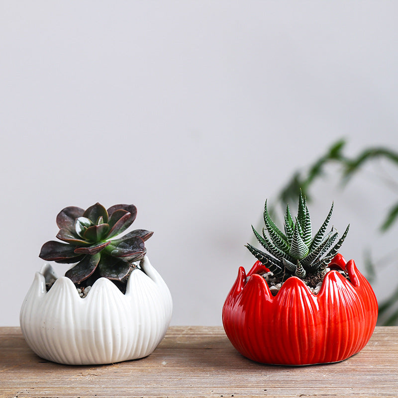 White Lotus Plant Pots Indoor Mini Planters Creative Flowerpots