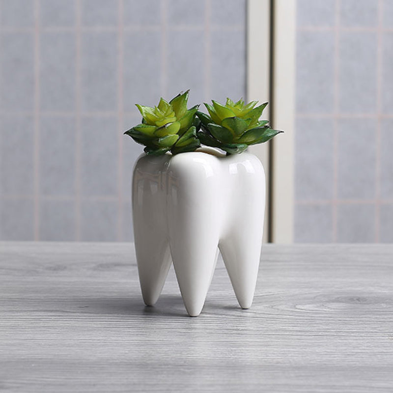 White Tooth Glazed Plant Pot Mini Indoor Planter Home Decor