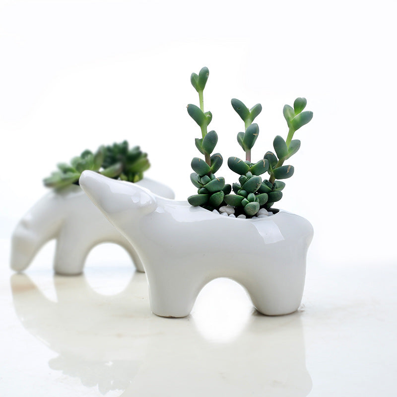 Polar Bear With Head Up Plant Pot Indoor Succulent Planter Home Decor