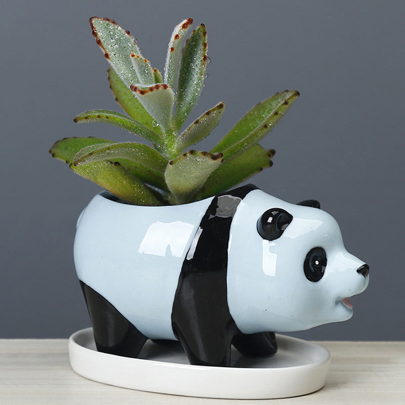 Lovely Blue Panda Plant Pot Creative Succulent Planter Home Decor Gifts