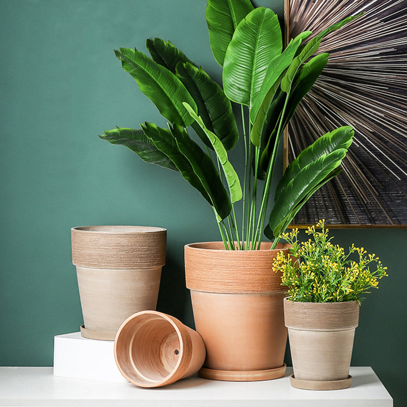 Terracotta Plant Pot Wide-brimmed Brushed Plant Pot Flowerpot