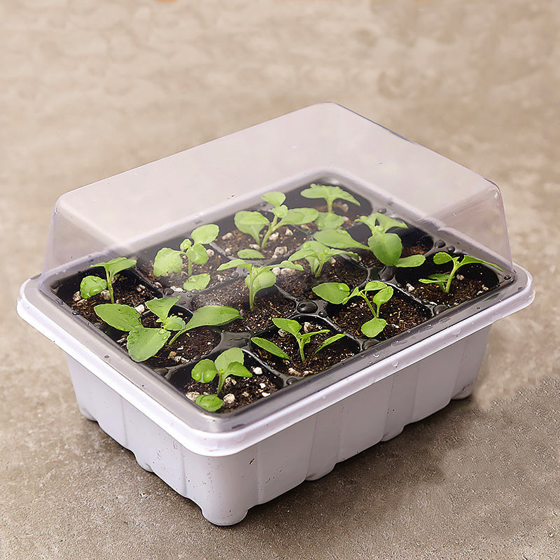 White Windowsill Greenhouse