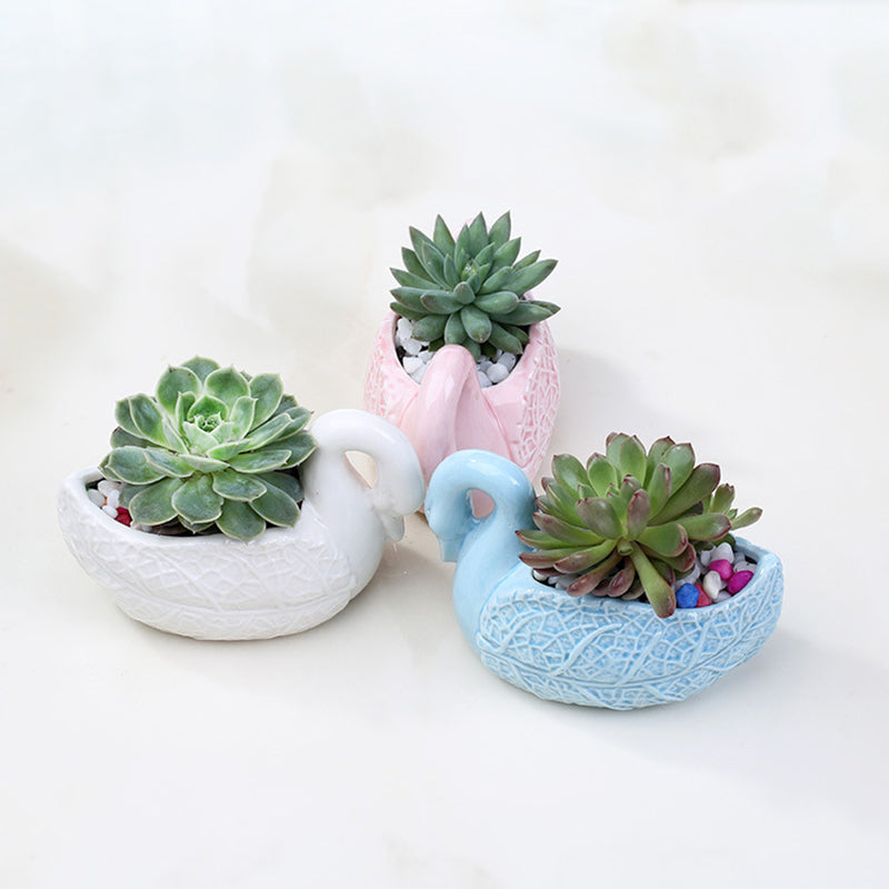 Lovely Blue Swan Plant Pot Creative Indoor Succulent Planter Home Decor