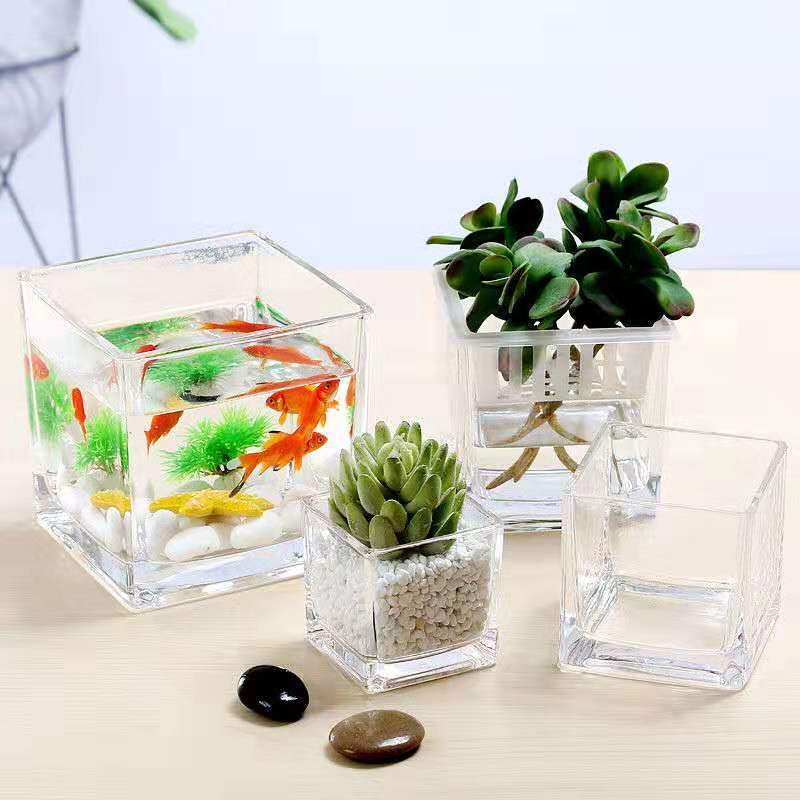 Cube Terrarium Pot