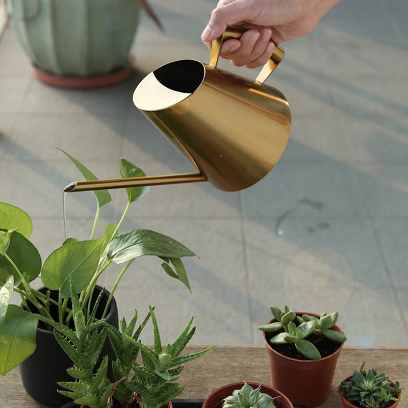 Black Stainless Steel Watering Can