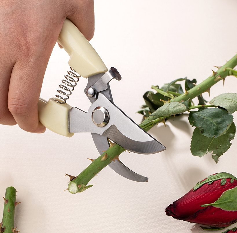 Cream Handle Bypass Secateurs