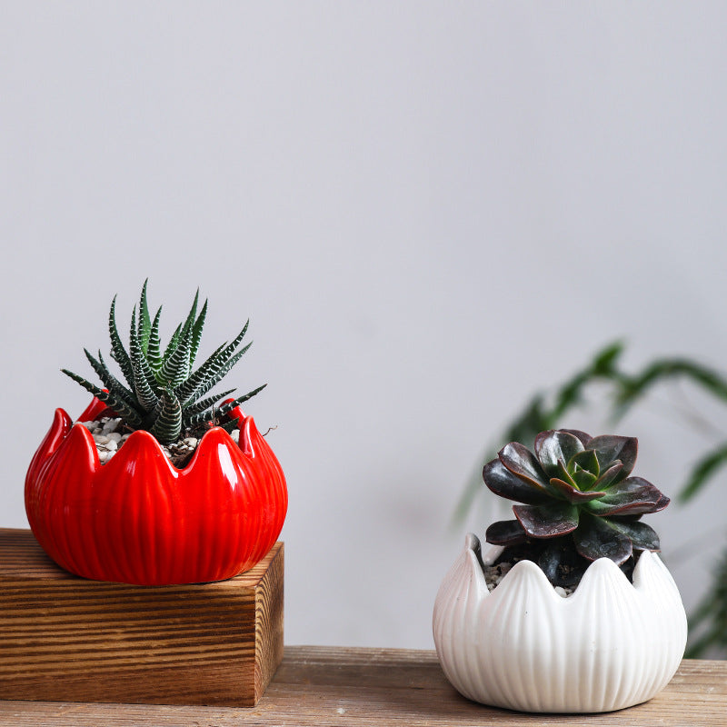 White Lotus Plant Pots Indoor Mini Planters Creative Flowerpots