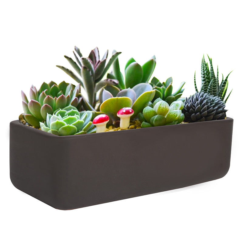 Black Terracotta Rectangular Plant Pot Flowerpot