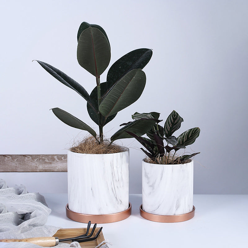 White Grey Texture Cylinder Plant Pots Indoor Flowerpots Planters