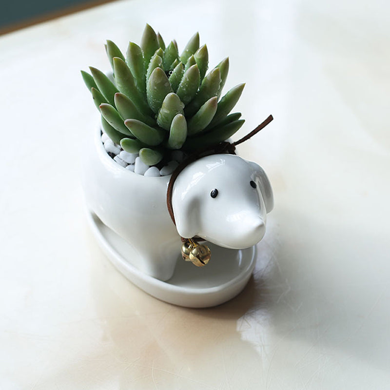 Sharp-Mouthed Dog Plant Pot Lovely Succulent Planter Home Decor