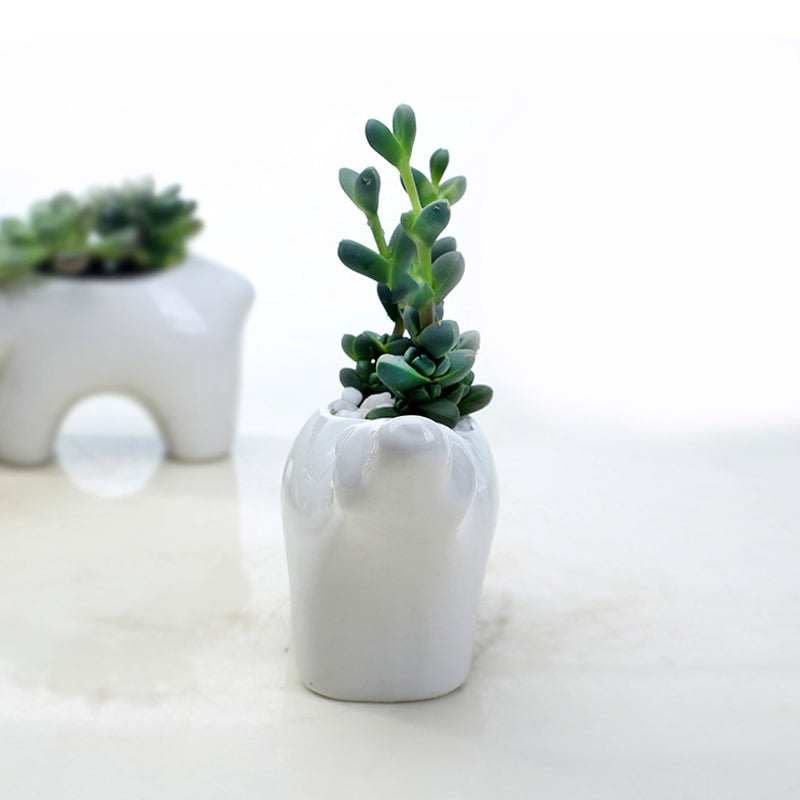 Polar Bear With Head Up Plant Pot Indoor Succulent Planter Home Decor