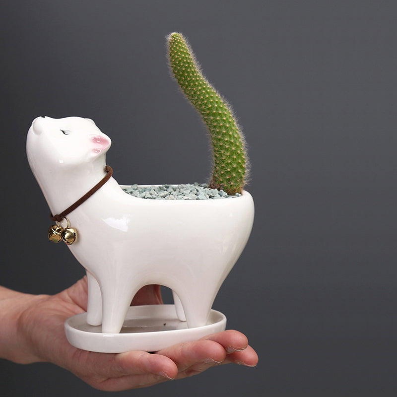 White Super Cute Kitten Plant Pot Mini Indoor Planter Animal Decor