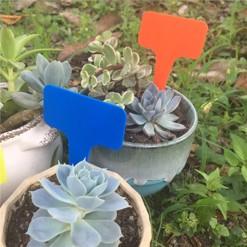 Plastic Plant Markers 100Pcs Pack, Blue