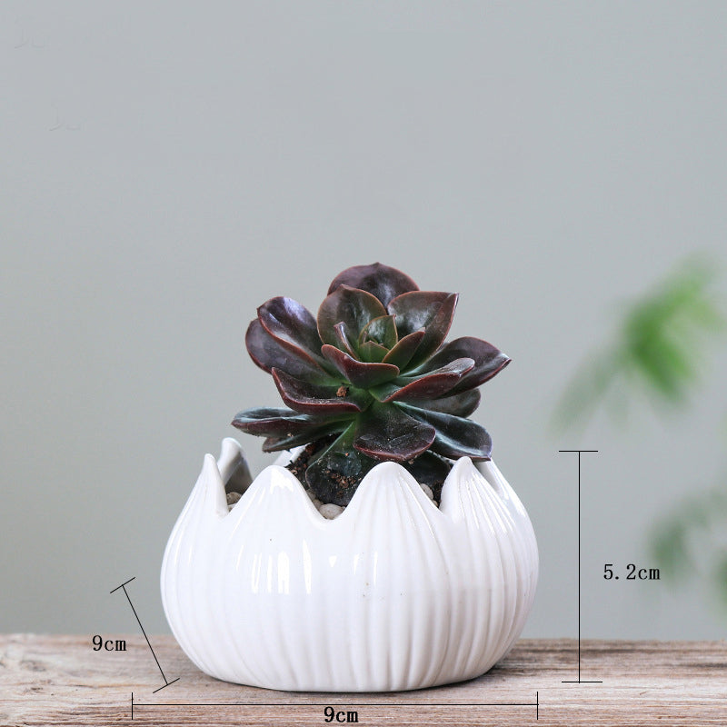 White Lotus Plant Pots Indoor Mini Planters Creative Flowerpots