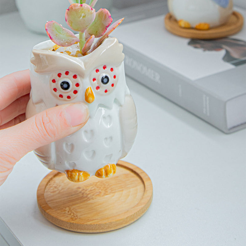 White Owl Glazed Plant Pot Indoor Planter With Tray , Pink Clothes