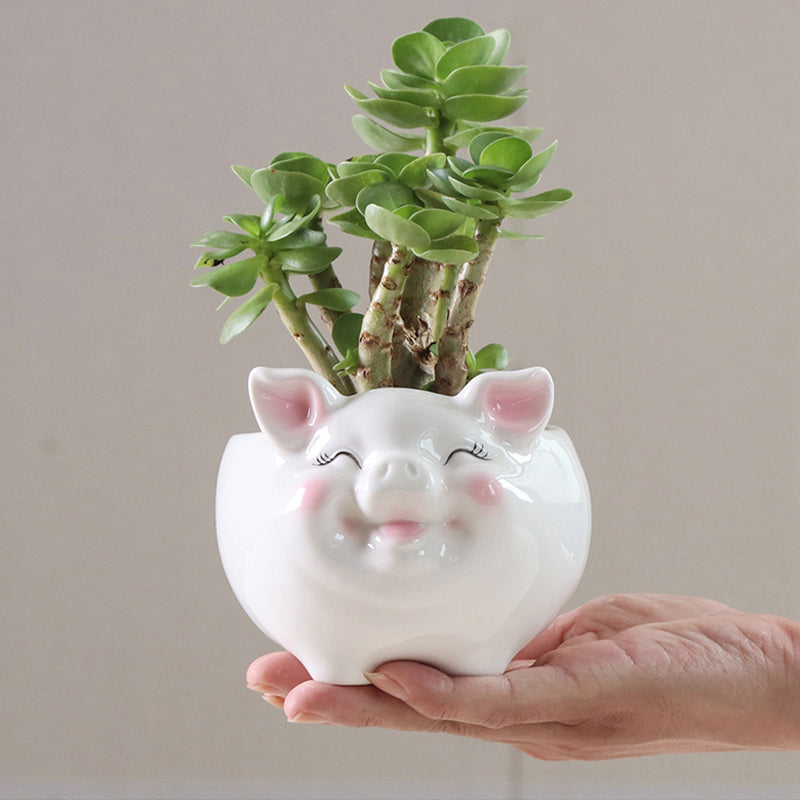 White Little Pig Glazed Plant Pot Lovely Indoor Planter Mini Animal Decor